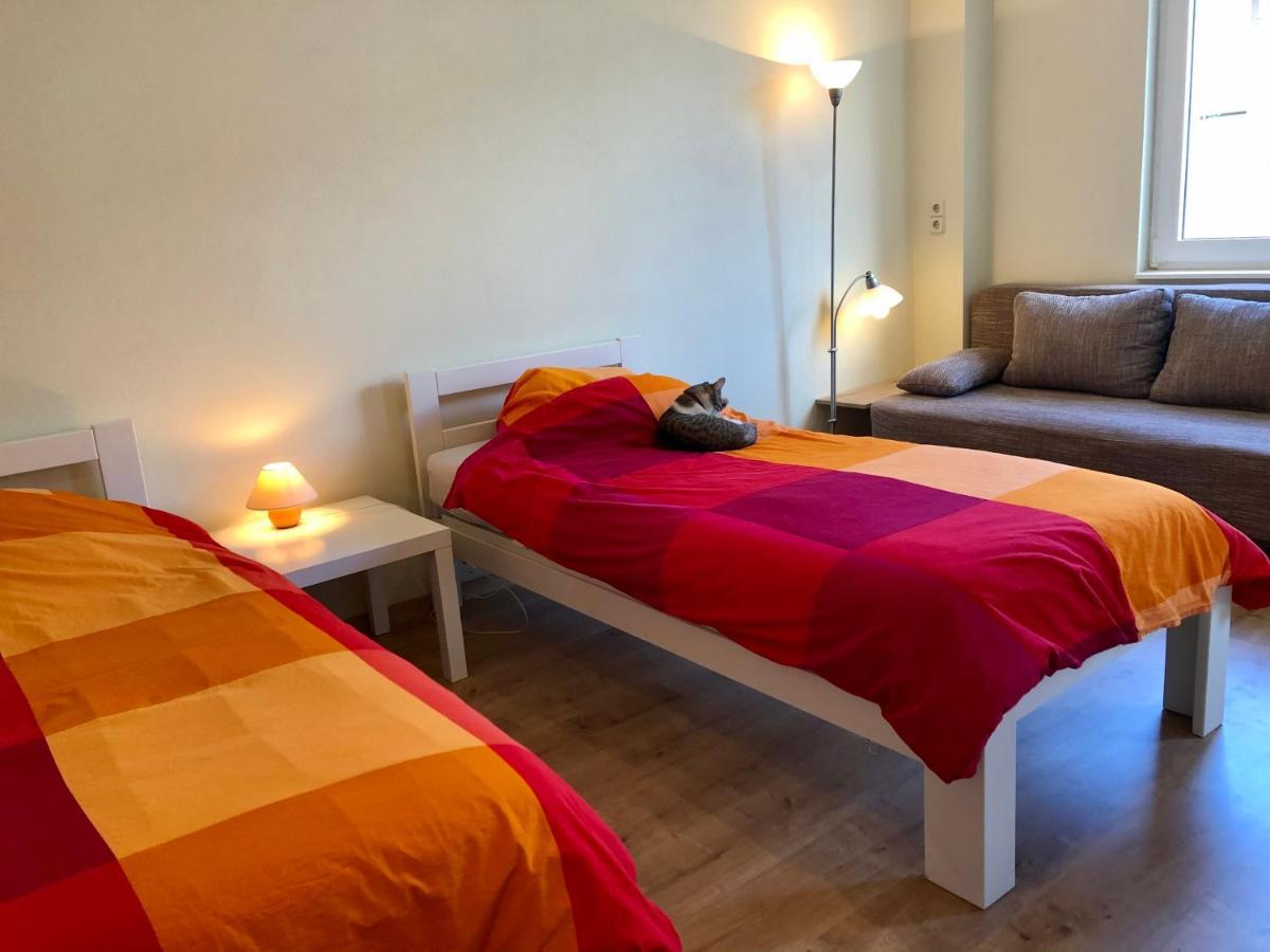 Die Senfbude - Wunderschoene Apartments Fuer 4 Personen Mit Terrasse & Stellplatz 莱比锡 外观 照片